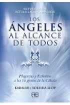 ANGELES AL ALCANCE DE TODOS. LOS (N/E)