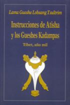 INSTRUCCIONES DE ATISHA